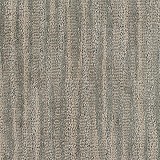 Tarkett Home CarpetsSedona